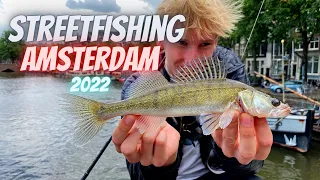 Streetfishing Amsterdam 2022 - Perch and Zander on Softbaits!