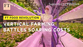 High energy costs are hitting the vertical farming industry hard | FT Food Revolution