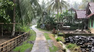 Heavy Rain Refreshes Peaceful Village Life | Just Need The Sound of Rain to Sleep Soundly | Asmr