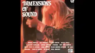 Various – Dimensions Of Sound 80s Garage Rock Psychedelic Freakbeat Fuzz Punk Music Album Collection