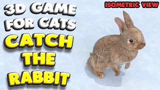 3D game for cats | CATCH THE RABBIT (isometric view) | 4K, 60 fps, stereo sound