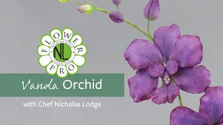 Vanda Orchid | Make Flower Pro Ultimate Orchids For Cakes & Crafts Part 4