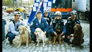 9/11's Four-Legged First Responders Inspire Research and Training Center