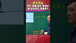 [전기기사] 전선 위에 앉은 참새는 왜 감전되지 않을까? #shorts