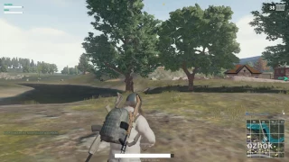 PUBG SKS