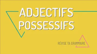 Révise ta grammaire : les adjectifs possessifs en français