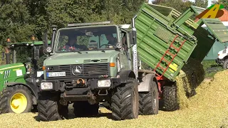 Maisernte 2020 - 3x Mercedes Unimog Agrar - Maishäckseln Bullenfutter - german farmers truck harvest