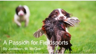 A Passion for Fieldsports - Pheasant and Partridge Shooting