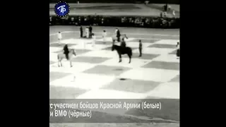 20 июля 1924 на площади Урицкого (Дворцовой) была разыграна партия «живых» шахмат