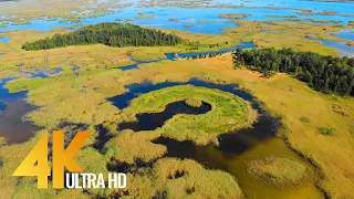 Bird Eye View of Latvian Nature - Airview of Amazing Landscapes in 4K UHD