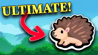 THE PERFECT HEDGEHOG BUILD? (Super Auto Pets)