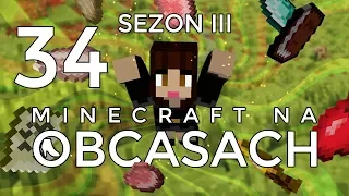 Minecraft na obcasach - Sezon III #34 - Sklepy w mieście