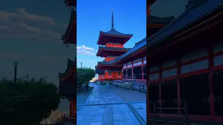 Nice place in Japan #travel #shortvideo #shorts