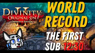 The FIRST Sub 12:30 | Divinity Original Sin 2 former World Record