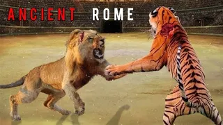 Lion vs Tiger - Ancient Rome | The Truth in the Amphitheater