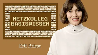 Netzkolleg Basiswissen – Effi Briest (Grundlagen der Literaturwissenschaft - Abiturvorbereitung)