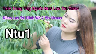 Txiv Tuag Tag Nyab Nus Tsi Hlub Thaum Kawg Wb Tau Neej Zoo Thiab _Ntu1_ By: Huab Xyooj