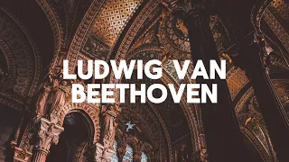 Beethoven, Sir Cubworth, Bach Classic Music Play List