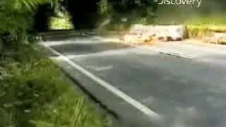 Destroyed in Seconds-Motorcycle Mahem