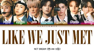 [SUB INDO] NCT DREAM (엔시티 드림) - "LIKE WE JUST MET"