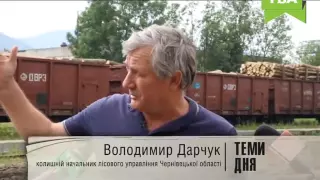 Проблеми лісового господарства в Чернівецькій області