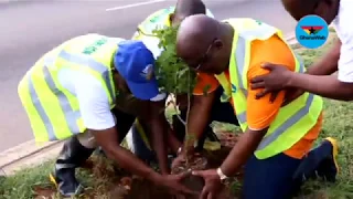 Political parties, stakeholders collaborate to plant trees in commemoration of June 4 revolution