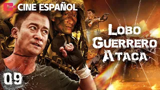 Fuerza Especial China, lobo de guerra defiende su honor | Lobo Guerrero Ataca EP09 | WuJing