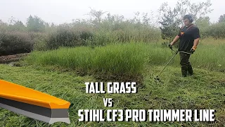 Mowing Heaps Of Tall Canary Grass | Stihl FS 131 Brush Cutter + Stihl CF3 Pro Trimmer Line #Stihl