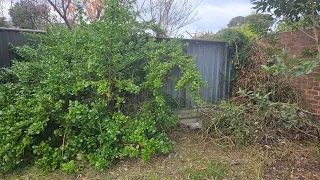 DISASTER of a backyard gets MASSIVE clean up - part 5 | WHEN will I LEARN!!!