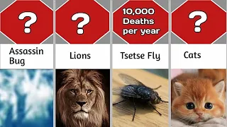 Probability Comparison: Deadliest Animal in the world and rate of Death | Asmr #comparison #facts