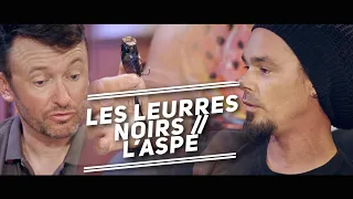 LES LEURRES NOIRS // L'ASPE 🐟Fishing Club EP21🐟