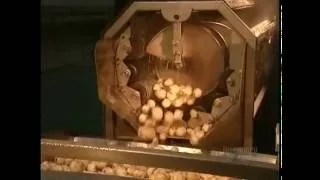 How It's Made - Potato Chips