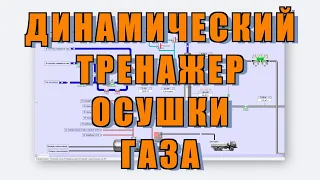 Динамический тренажер осушки газа RTsim