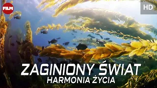 ZAGINIONY ŚWIAT: Balans życia | Lektor PL | Full HD | Film dokumentalny | Film przyrodniczy | IMAX