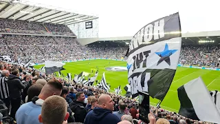 Newcastle United v Brighton - Wor Flags and Local Hero