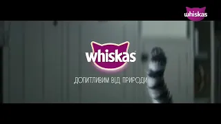 [ИТВ] Переход в 16:9 + Смена логотипа (Whiskas TV [Украина], 01.01.2022)