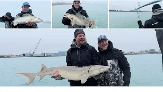 JIGGING FOR WALLEYES ON THE DETROIT RIVER!   STURGEON LANDED! MARCH 2024