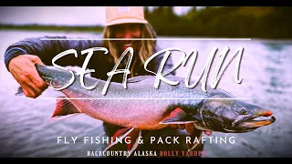 SEA RUN DOLLY VARDEN - FLY FISHING & PACK RAFTING ALASKA BACKCOUNTRY