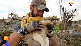 Soldier Saves Puppy Then Realizes He Can't Live Without Her | The Dodo