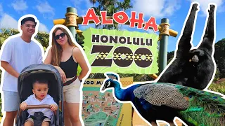 ALOHA HAWAII! HONOLULU ZOO | Love Angeline Quinto