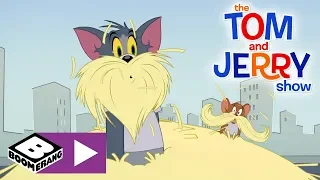 The Tom and Jerry Show | Detective Training | Boomerang UK 🇬🇧
