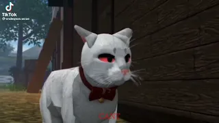 TikTok Warrior cats ultimate edition part one