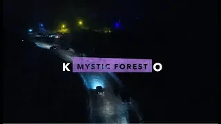 Таинственный лес | Mystic forest 4к
