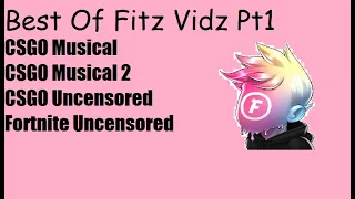 Best Of Fitz 1