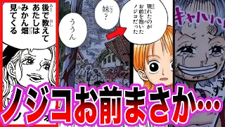 【最新1115話】世界の真実を聞かなかったノジコをみてついに”あの事件”の真相に気づいてしまいました【ワンピース ネタバレ】