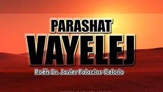 PARASHAT VAYELEJ - Roeh Dr. Javier Palacios Celorio
