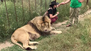 В гостях у великолепного Марселя!