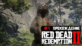 Охота на легендарного гризли в Red Dead Redemption 2. Прохождение игры часть #7