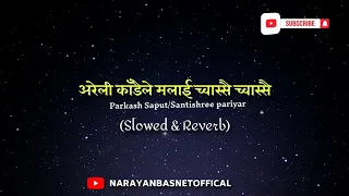 Areli Kadaile Malai Chwassai • Shanti Shree Pariyar • Prakash Saput (Slowed & Reverb) Song #newsong