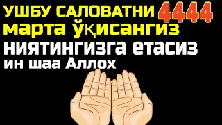 4444 МАРТА ЎҚИСАНГИЗ НИЯТИНГИЗГА ЕТАСИЗ ИН ШАА АЛЛОХ(ТАЖРИБА ҚИЛИНГАН)